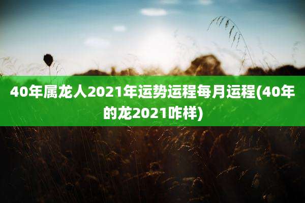 40年属龙人2021年运势运程每月运程(40年的龙2021咋样)