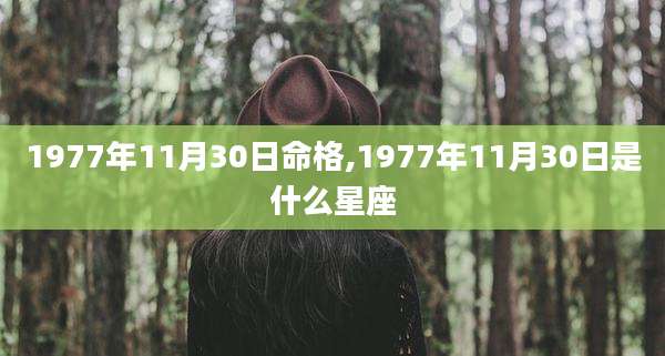 1977年11月30日命格,1977年11月30日是什么星座