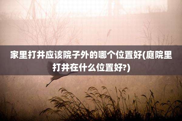 家里打井应该院子外的哪个位置好(庭院里打井在什么位置好?)