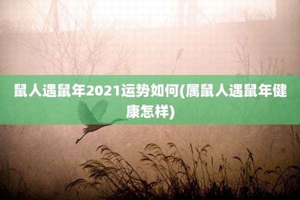 鼠人遇鼠年2021运势如何(属鼠人遇鼠年健康怎样)
