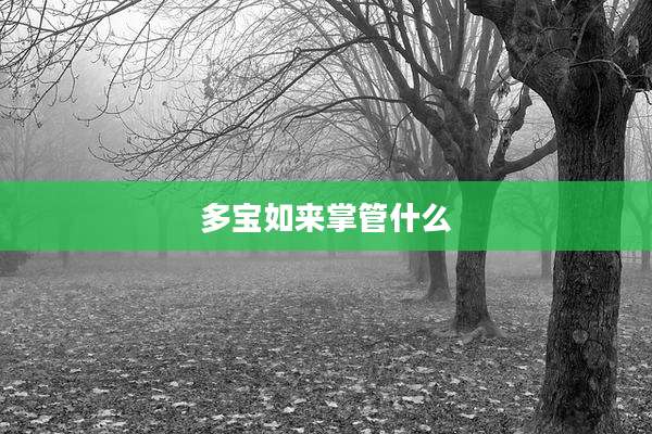 多宝如来掌管什么