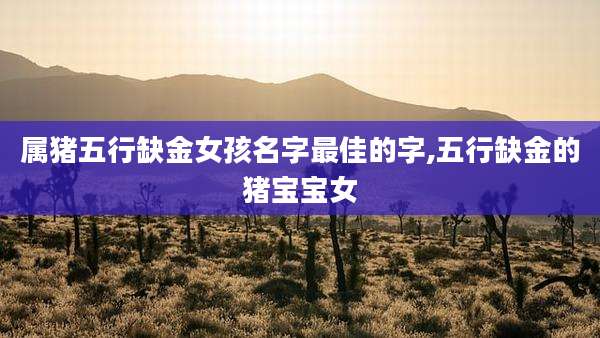 属猪五行缺金女孩名字最佳的字,五行缺金的猪宝宝女