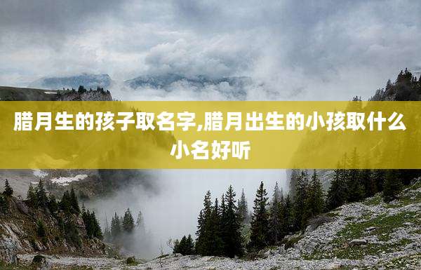 腊月生的孩子取名字,腊月出生的小孩取什么小名好听