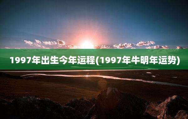 1997年出生今年运程(1997年牛明年运势)