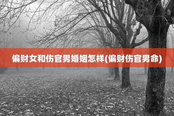 偏财女和伤官男婚姻怎样(偏财伤官男命)