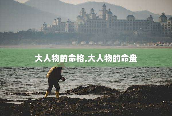 大人物的命格,大人物的命盘