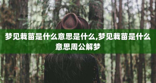 梦见栽苗是什么意思是什么,梦见栽苗是什么意思周公解梦