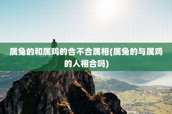属兔的和属鸡的合不合属相(属兔的与属鸡的人相合吗)