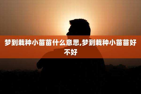 梦到栽种小苗苗什么意思,梦到栽种小苗苗好不好