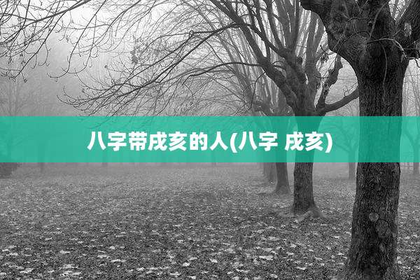 八字带戌亥的人(八字 戌亥)
