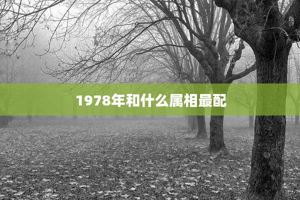 1978年和什么属相最配