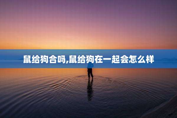 鼠给狗合吗,鼠给狗在一起会怎么样