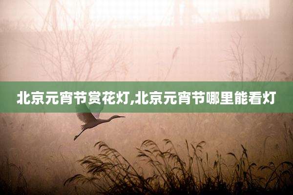 北京元宵节赏花灯,北京元宵节哪里能看灯