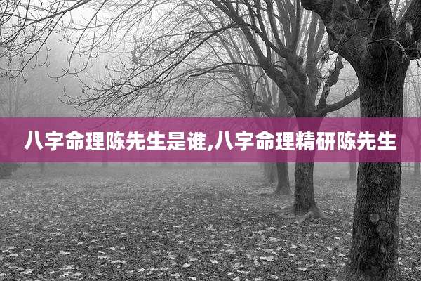 八字命理陈先生是谁,八字命理精研陈先生