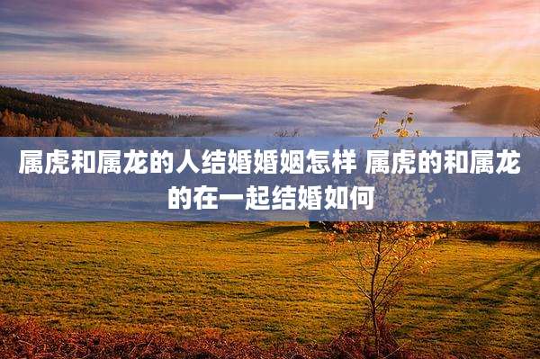 属虎和属龙的人结婚婚姻怎样 属虎的和属龙的在一起结婚如何