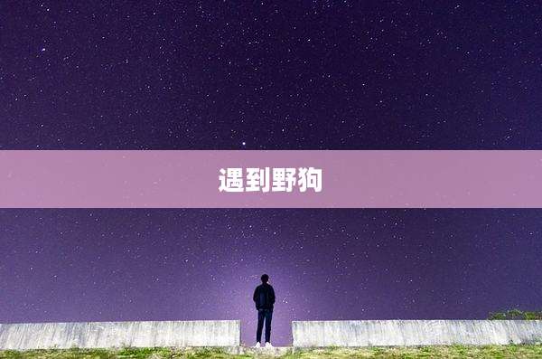 遇到野狗