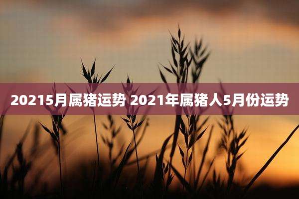 20215月属猪运势 2021年属猪人5月份运势