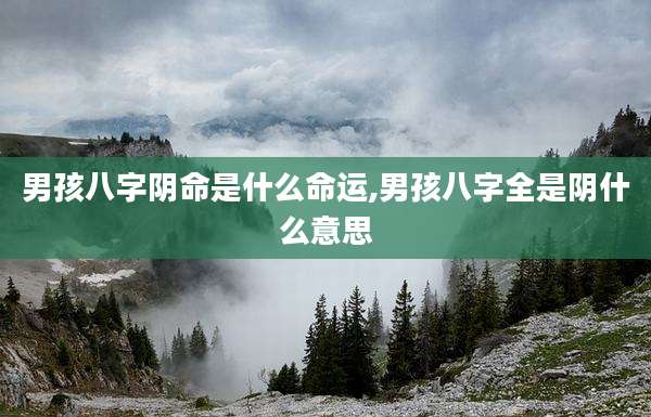 男孩八字阴命是什么命运,男孩八字全是阴什么意思