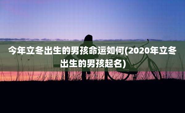 今年立冬出生的男孩命运如何(2020年立冬出生的男孩起名)