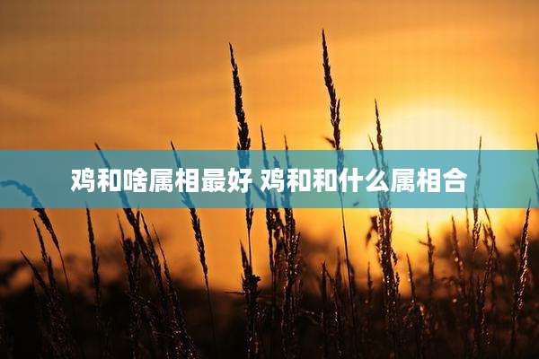 鸡和啥属相最好 鸡和和什么属相合