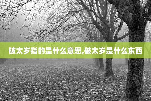 破太岁指的是什么意思,破太岁是什么东西