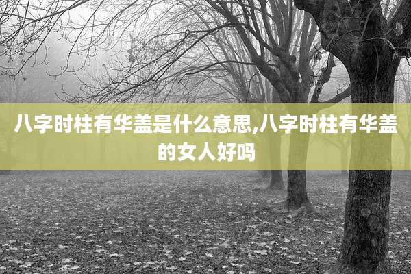 八字时柱有华盖是什么意思,八字时柱有华盖的女人好吗