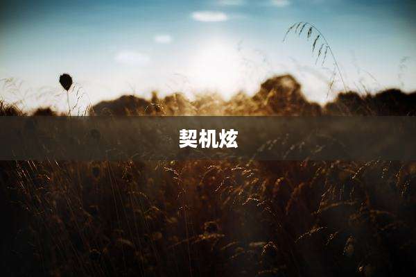契机炫
