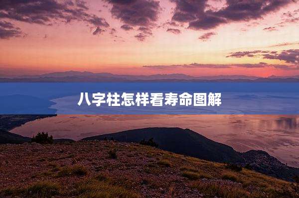 八字柱怎样看寿命图解