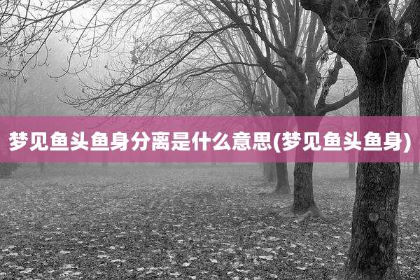 梦见鱼头鱼身分离是什么意思(梦见鱼头鱼身)