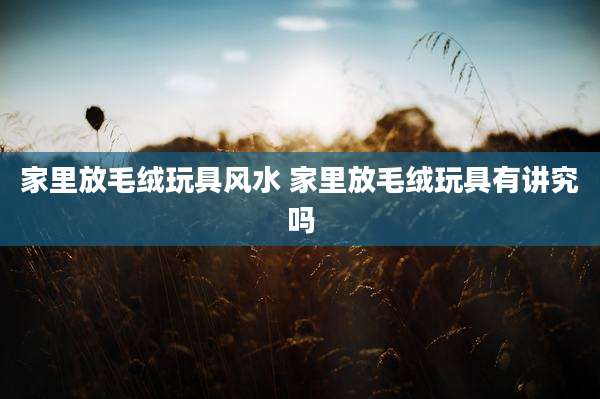 家里放毛绒玩具风水 家里放毛绒玩具有讲究吗