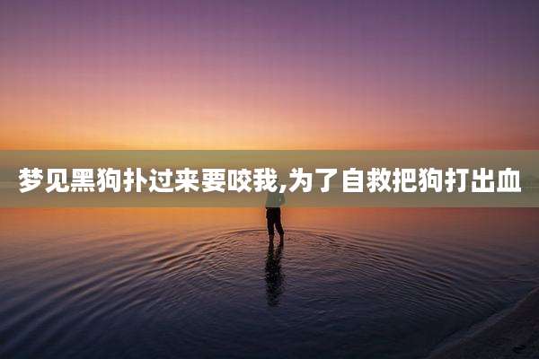 梦见黑狗扑过来要咬我,为了自救把狗打出血