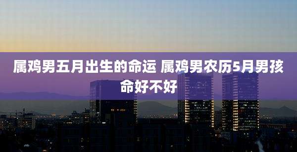 属鸡男五月出生的命运 属鸡男农历5月男孩命好不好