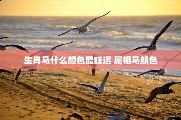 生肖马什么颜色最旺运 属相马颜色