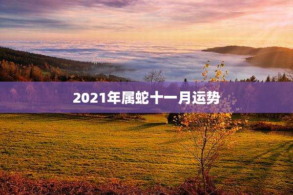 2021年属蛇十一月运势