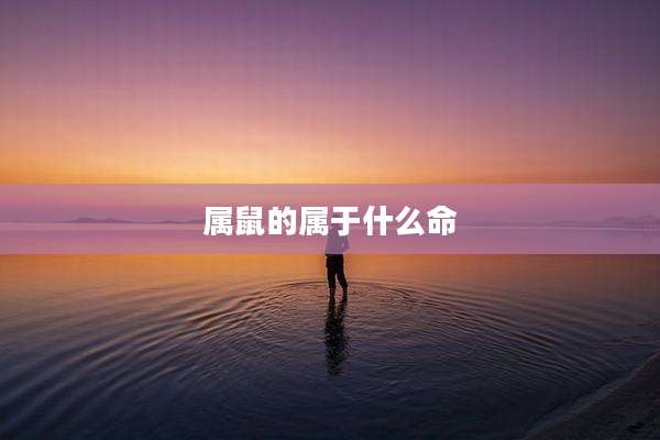 属鼠的属于什么命
