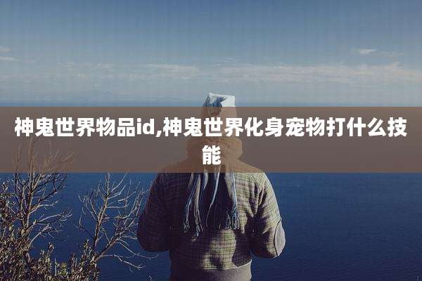 神鬼世界物品id,神鬼世界化身宠物打什么技能