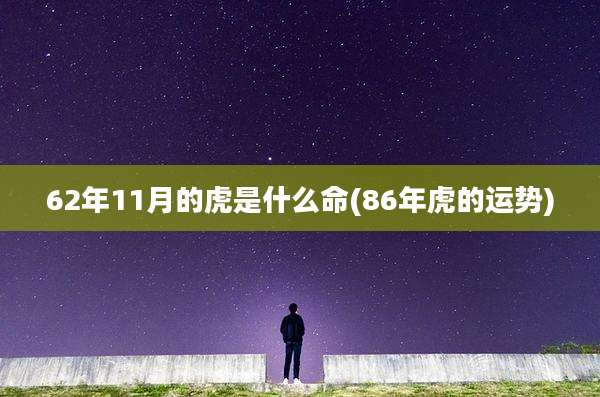 62年11月的虎是什么命(86年虎的运势)