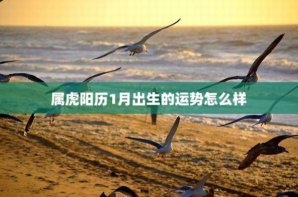 属虎阳历1月出生的运势怎么样