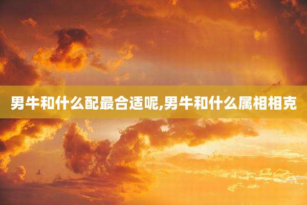 男牛和什么配最合适呢,男牛和什么属相相克