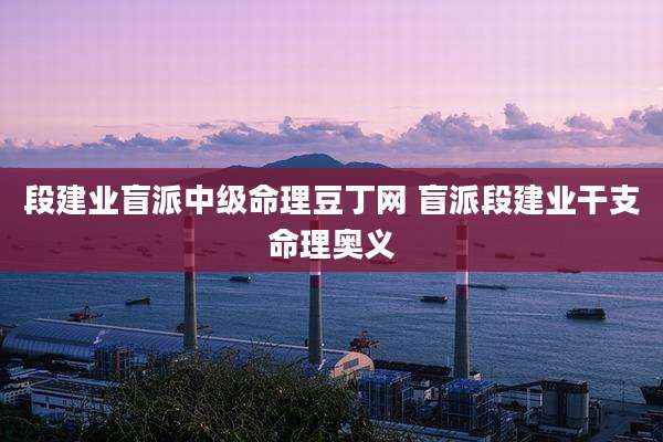 段建业盲派中级命理豆丁网 盲派段建业干支命理奥义