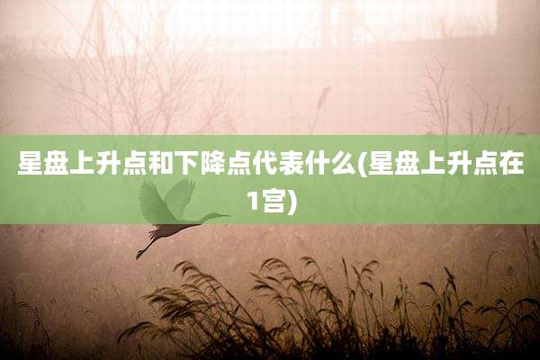 星盘上升点和下降点代表什么(星盘上升点在1宫)