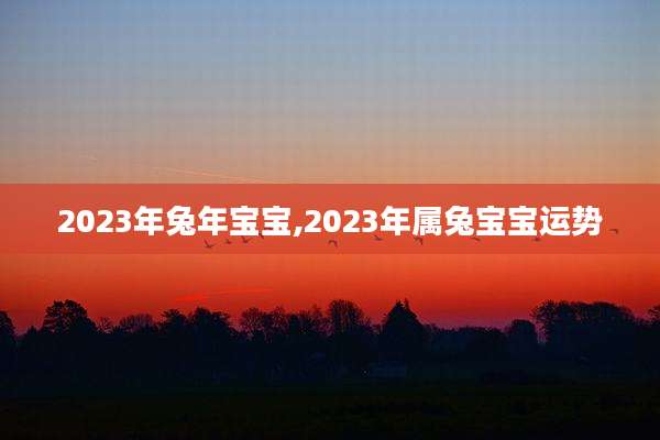 2023年兔年宝宝,2023年属兔宝宝运势