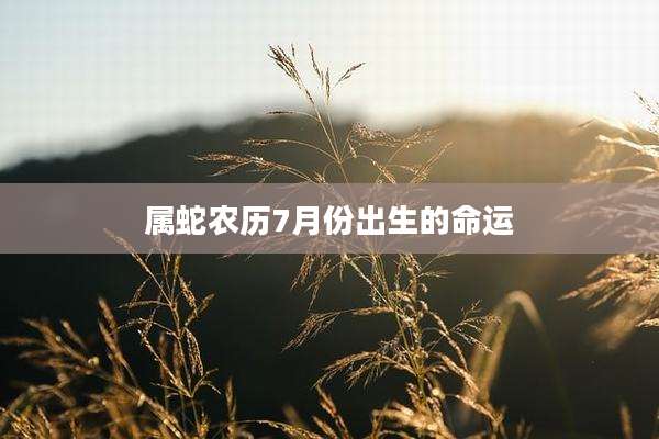 属蛇农历7月份出生的命运