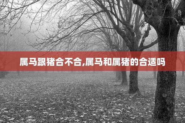 属马跟猪合不合,属马和属猪的合适吗