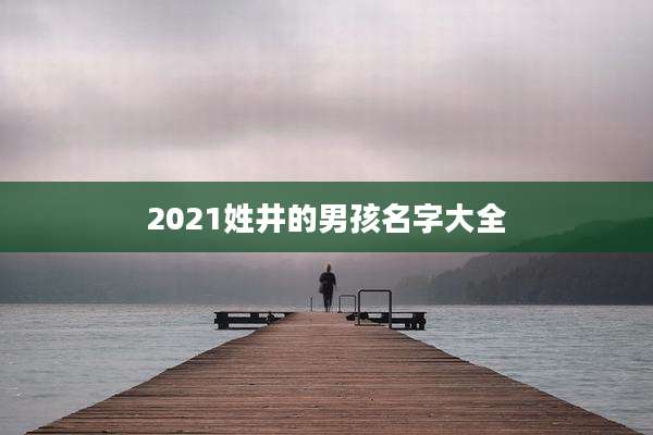 2021姓井的男孩名字大全