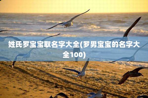 姓氏罗宝宝取名字大全(罗男宝宝的名字大全100)