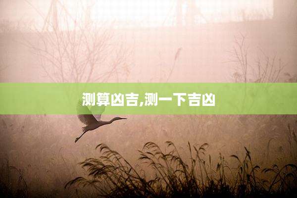 测算凶吉,测一下吉凶