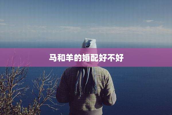 马和羊的婚配好不好