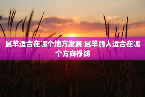 属羊适合在哪个地方发展 属羊的人适合在哪个方向挣钱