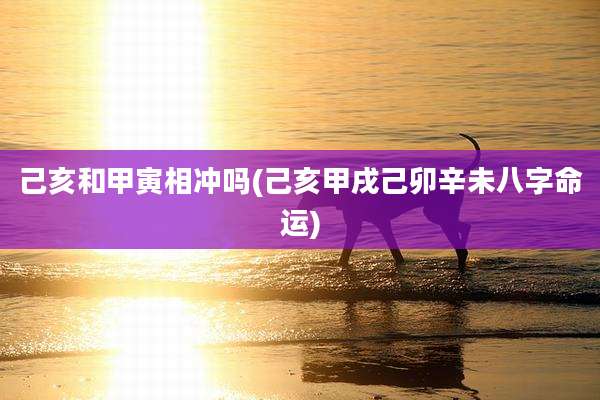 己亥和甲寅相冲吗(己亥甲戌己卯辛未八字命运)